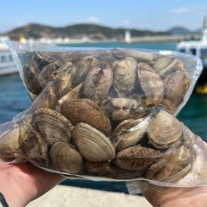 [통영] 다이버 왕 바지락 1kg